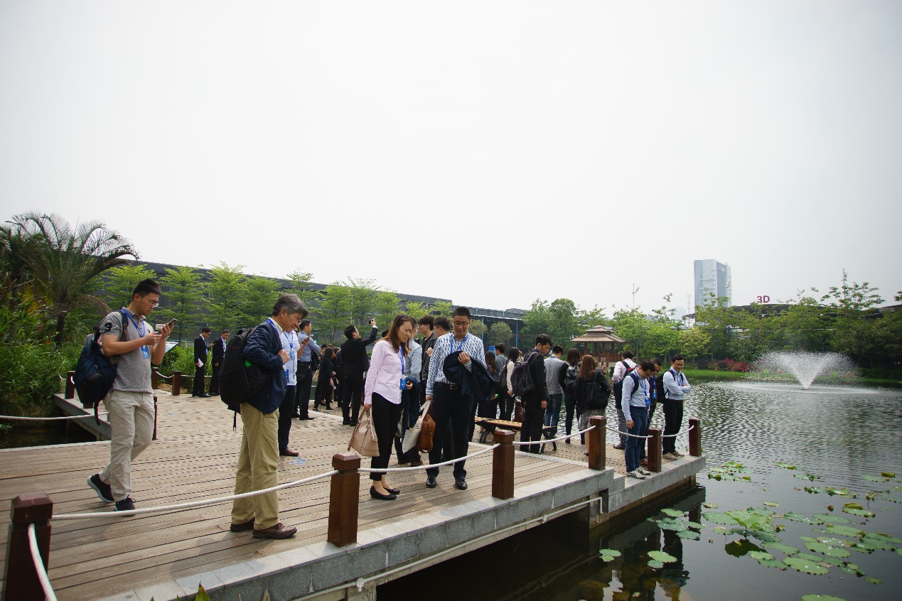 参观海绵城市示范点