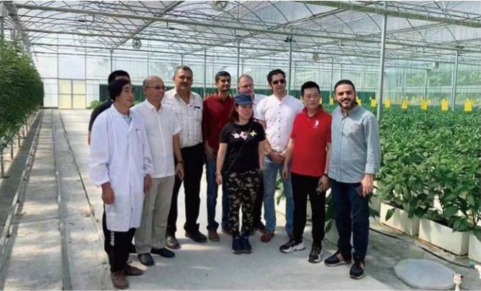联塑约旦设施农业温室工程项目