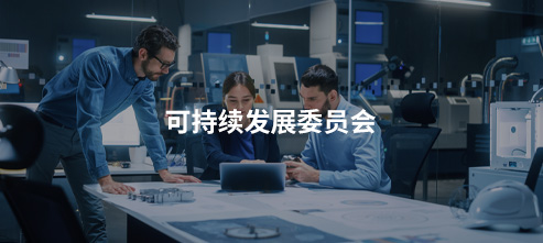 可持续发展委员会